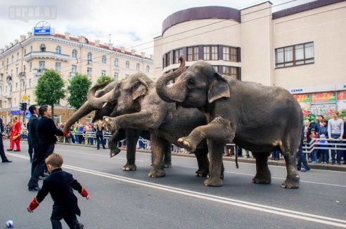 В Могилёве в День города прошло театрализованное шествие