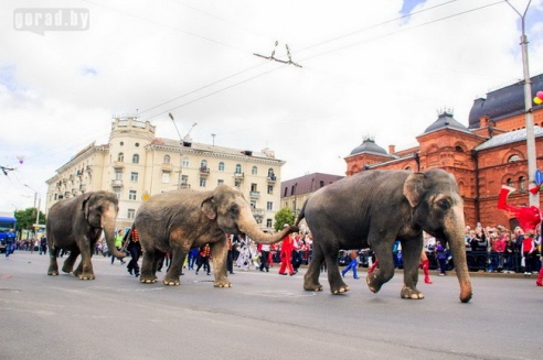 В Могилёве в День города прошло театрализованное шествие