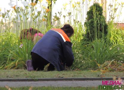 Около 2.000 флажков украсят райцентр в День Независимости