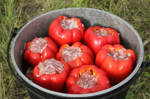 КТО В РАБОТЕ УСПЕШЕН,ТОТ И В СПОРТЕ СИЛЕН! КТО В РАБОТЕ УСПЕШЕН,ТОТ И В СПОРТЕ СИЛЕН!