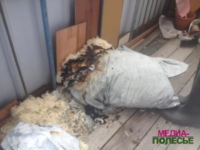 В центре Лунинца горела квартира в пятиэтажном доме. Жильцов подъезда эвакуировали