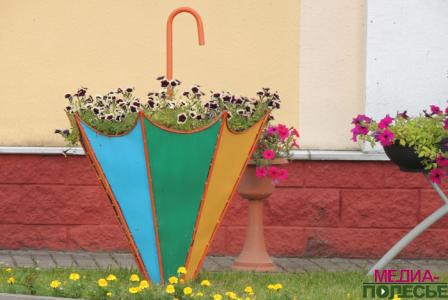 Цветочная сказка на клумбах в Столине