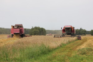 Костюковичский район отметил юбилей — 90 лет! Костюковичский район отметил юбилей — 90 лет!