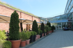 Такой далекий и близкий Дитценбах. День пятый.