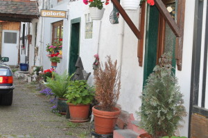 Такой далекий и близкий Дитценбах. День пятый.