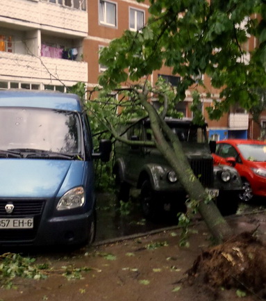 Могилевчане о буре на выходных: «Шум града заглушал крик маленького ребёнка»