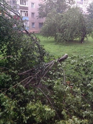 Могилевчане о буре на выходных: «Шум града заглушал крик маленького ребёнка»
