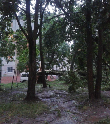 Могилевчане о буре на выходных: «Шум града заглушал крик маленького ребёнка»