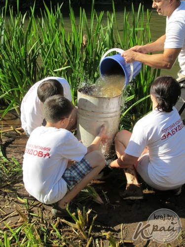 Юбилейный турслет работников компании «Забудова» прошел в Вилейском районе (ФОТО)
