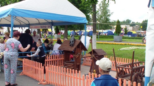 3 июля в Орше