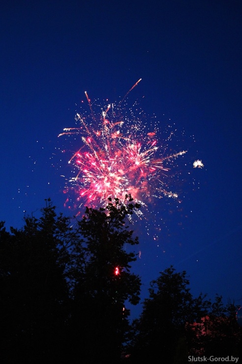День Независимости в Слуцке. Празднование