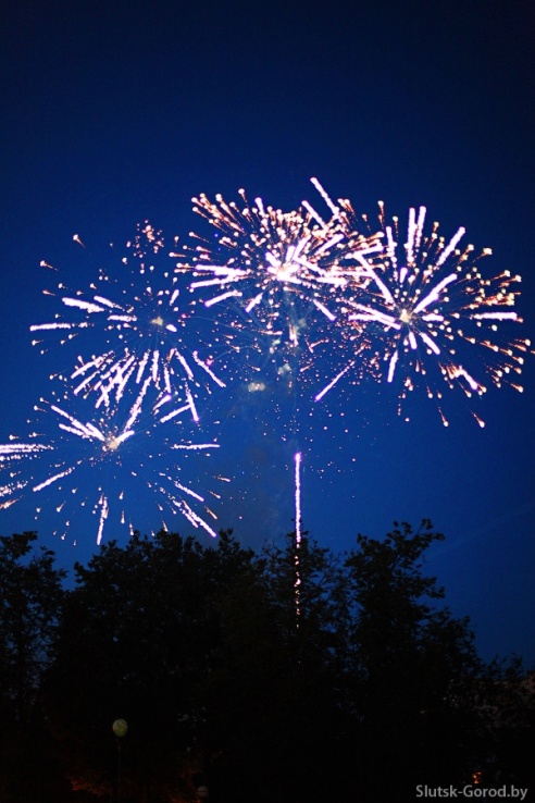 День Независимости в Слуцке. Празднование