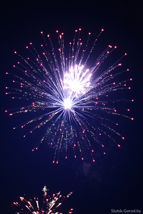 День Независимости в Слуцке. Празднование