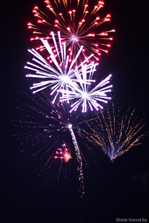 День Независимости в Слуцке. Празднование