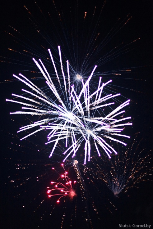 День Независимости в Слуцке. Празднование