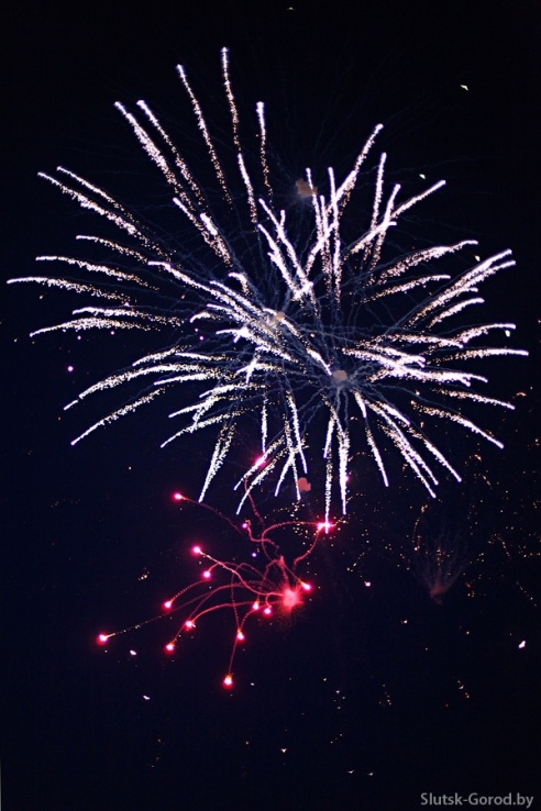 День Независимости в Слуцке. Празднование