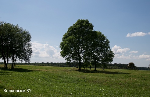 Дзень Памяці ў Шавулічах (фота)