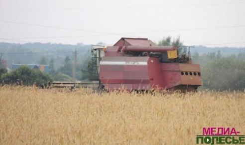 На Столинщине приступили к уборке зерновых