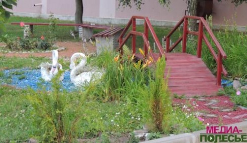 Цветочная сказка на клумбах в Столине