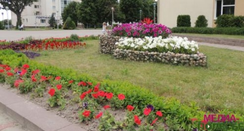 Цветочная сказка на клумбах в Столине