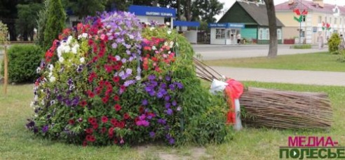 Цветочная сказка на клумбах в Столине