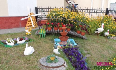 Цветочная сказка на клумбах в Столине