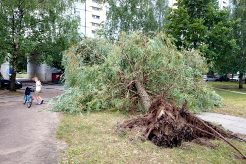 Могилевчане о буре на выходных: «Шум града заглушал крик маленького ребёнка»