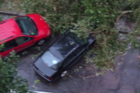 Могилевчане о буре на выходных: «Шум града заглушал крик маленького ребёнка»