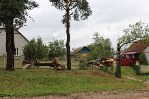 Могилевчане о буре на выходных: «Шум града заглушал крик маленького ребёнка»