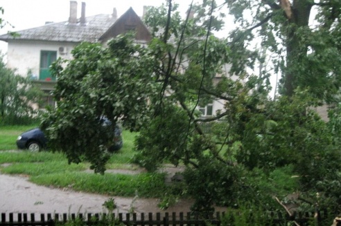 Могилевчане о буре на выходных: «Шум града заглушал крик маленького ребёнка»