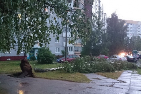Могилевчане о буре на выходных: «Шум града заглушал крик маленького ребёнка»