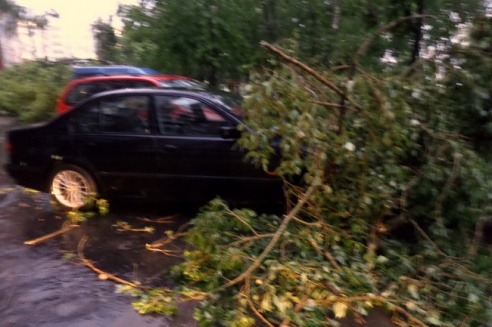 Могилевчане о буре на выходных: «Шум града заглушал крик маленького ребёнка»