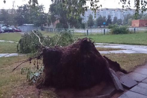 Могилевчане о буре на выходных: «Шум града заглушал крик маленького ребёнка»