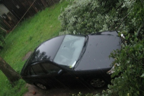 Могилевчане о буре на выходных: «Шум града заглушал крик маленького ребёнка»