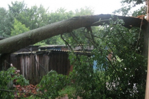 Могилевчане о буре на выходных: «Шум града заглушал крик маленького ребёнка»