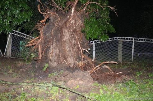 Могилевчане о буре на выходных: «Шум града заглушал крик маленького ребёнка»