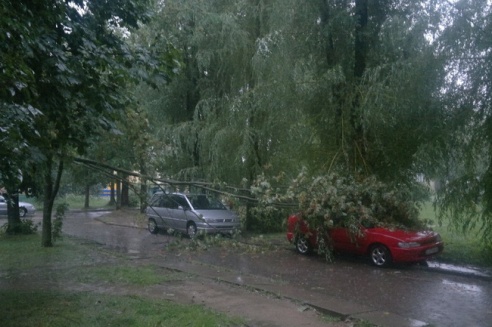 Могилевчане о буре на выходных: «Шум града заглушал крик маленького ребёнка»