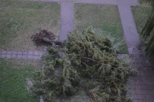 Могилевчане о буре на выходных: «Шум града заглушал крик маленького ребёнка»