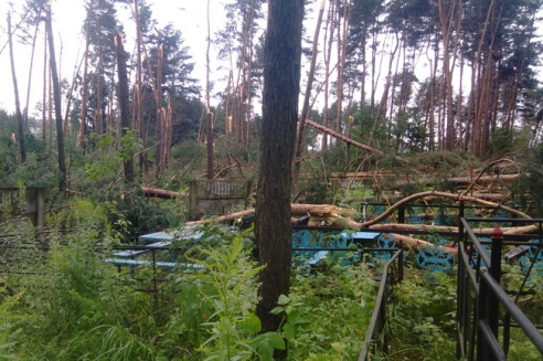 Могилевчане о буре на выходных: «Шум града заглушал крик маленького ребёнка»