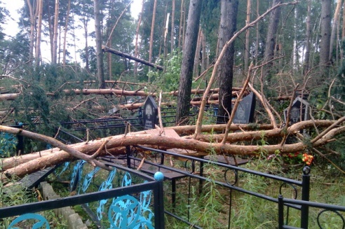 Могилевчане о буре на выходных: «Шум града заглушал крик маленького ребёнка»