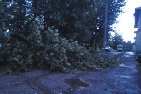 Могилевчане о буре на выходных: «Шум града заглушал крик маленького ребёнка»