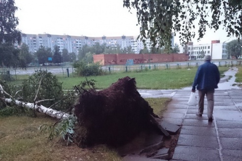 Могилевчане о буре на выходных: «Шум града заглушал крик маленького ребёнка»