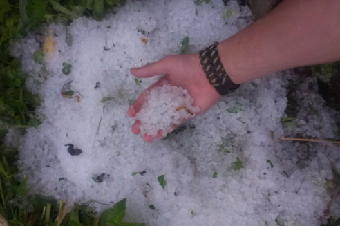 Могилевчане о буре на выходных: «Шум града заглушал крик маленького ребёнка»