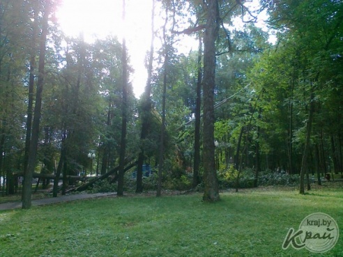 ФОТОФАКТ: Вилейский парк пострадал от сильного ветра 21 июля