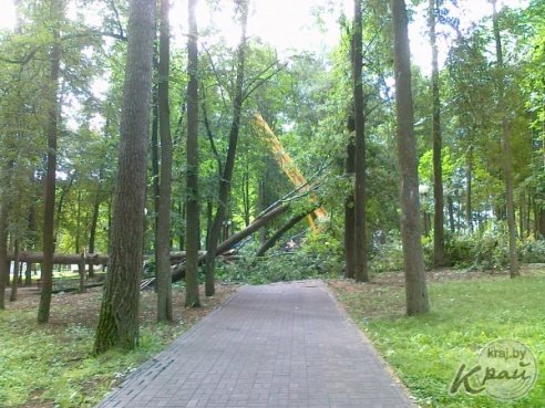 ФОТОФАКТ: Вилейский парк пострадал от сильного ветра 21 июля