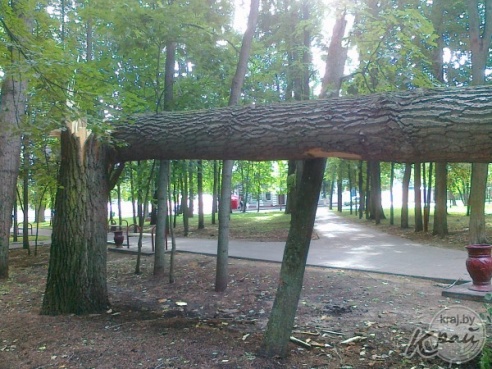 ФОТОФАКТ: Вилейский парк пострадал от сильного ветра 21 июля