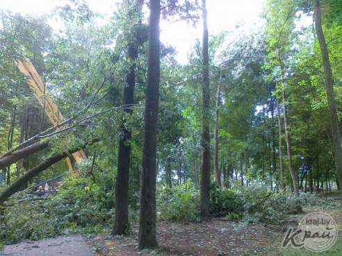 ФОТОФАКТ: Вилейский парк пострадал от сильного ветра 21 июля