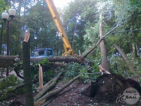 ФОТОФАКТ: Вилейский парк пострадал от сильного ветра 21 июля