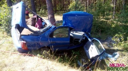 В Лунинецком районе женщина на «Форд» врезалась в сосну и погибла