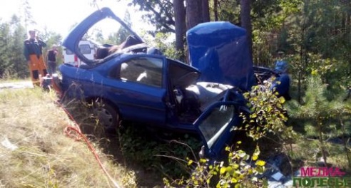 В Лунинецком районе женщина на «Форд» врезалась в сосну и погибла